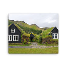 Wide Open Moss Canvas Print