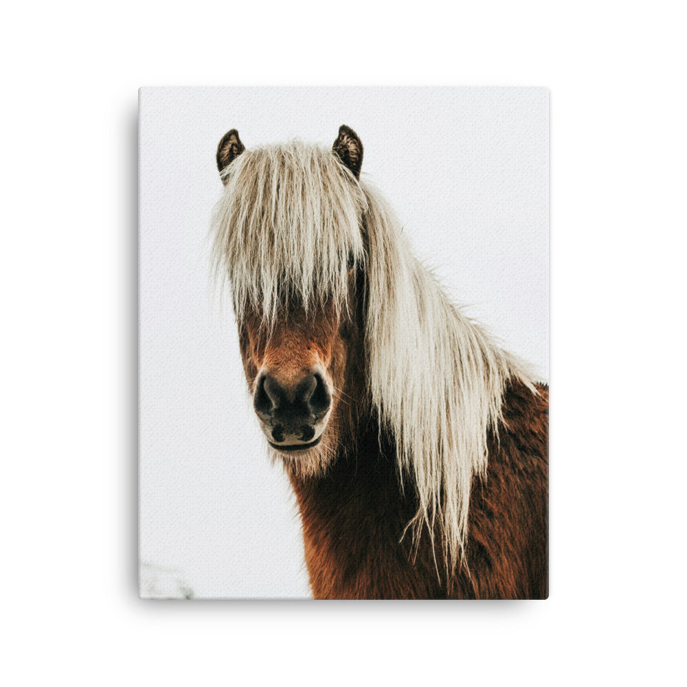 Hippie Hairy Canvas Print