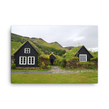 Wide Open Moss Canvas Print