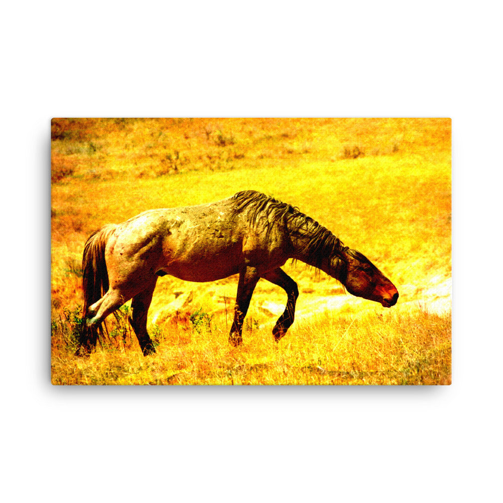 Space A Soft Horse Art Canvas