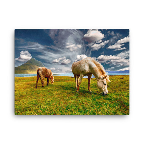 Horse and Solitude Canvas Print