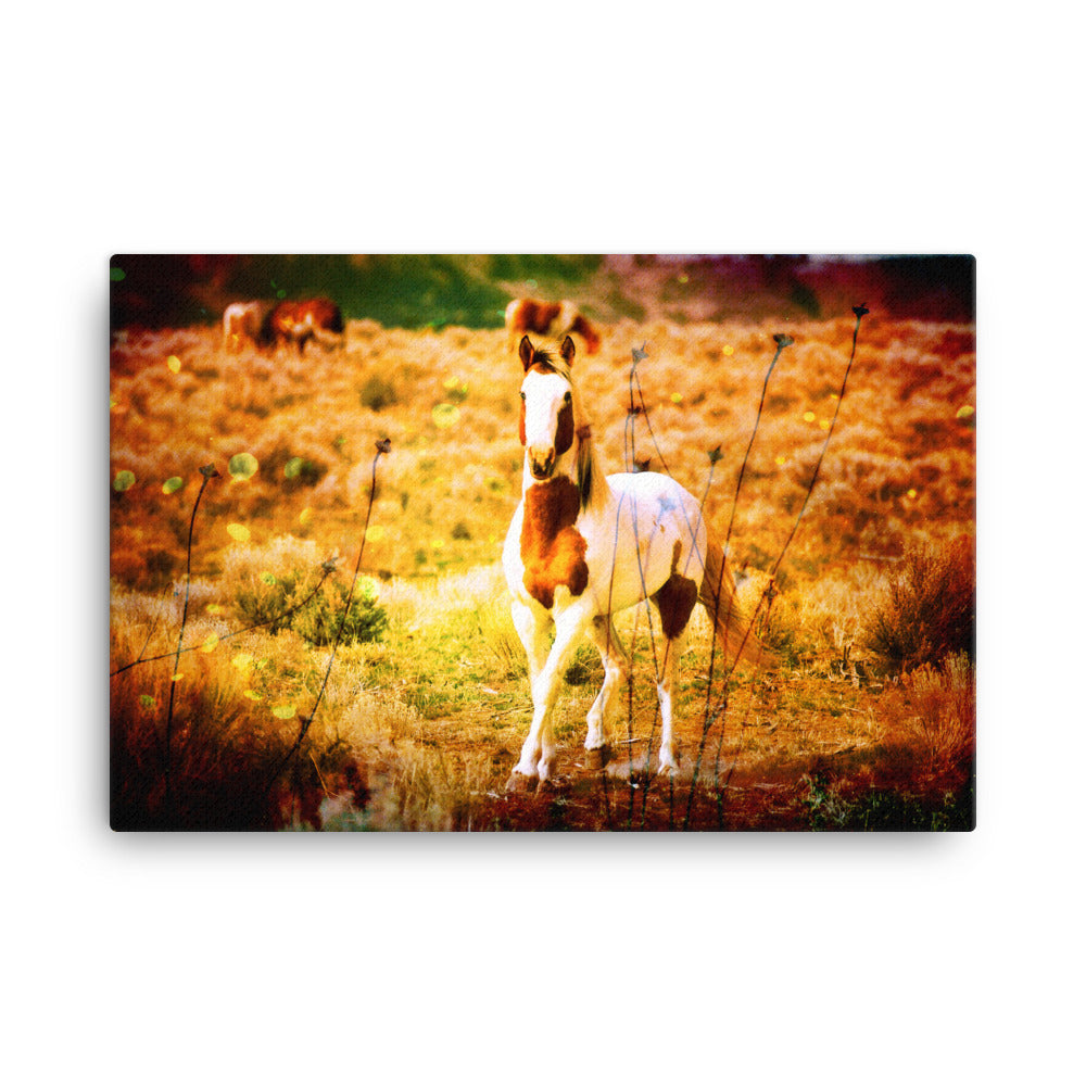 Fasting With Her Horse Art Canvas