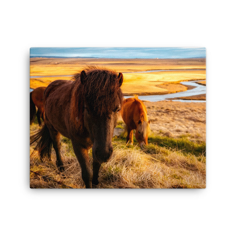 Heaven As Usual Canvas Print
