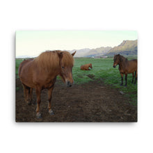 Witness Trilogy Canvas Print