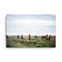 Horse Prairie Canvas Print