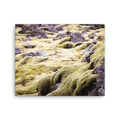 Violet Moss Canvas Print
