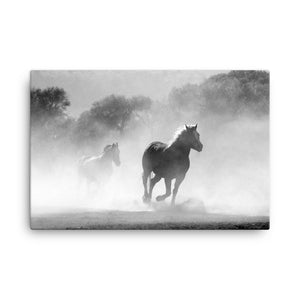 Perfect Barefoot Horse Art Canvas