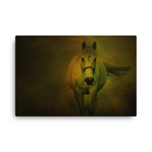 Go Ahead Horse Art Canvas