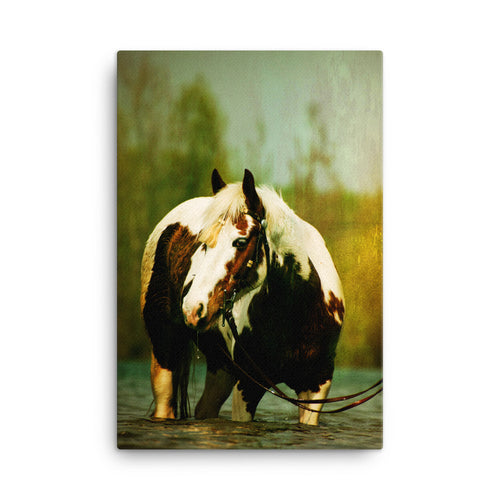 Audible Contour Horse Art Canvas