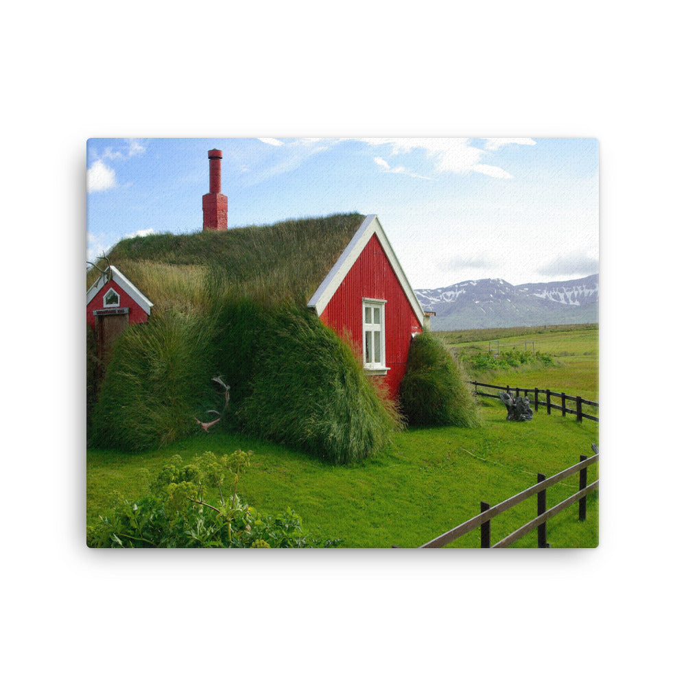 Red Souround Canvas Print