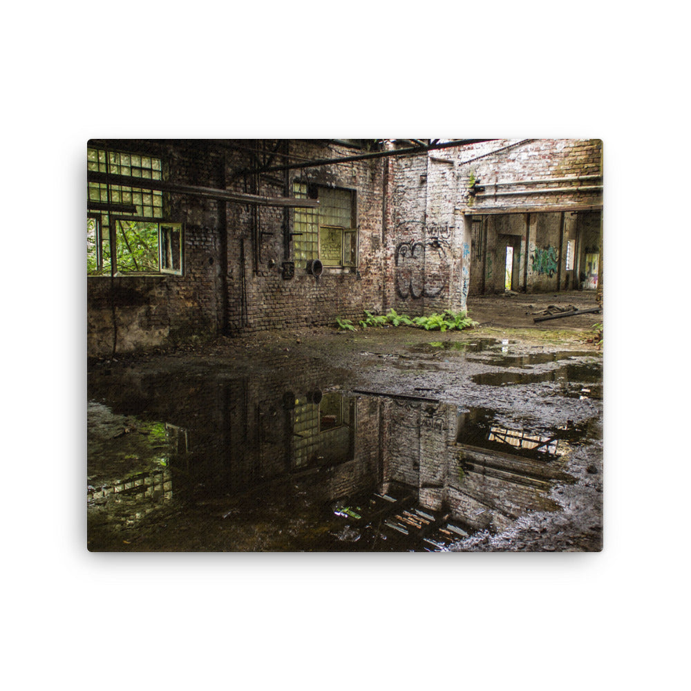 Wet Conservatory Canvas Print