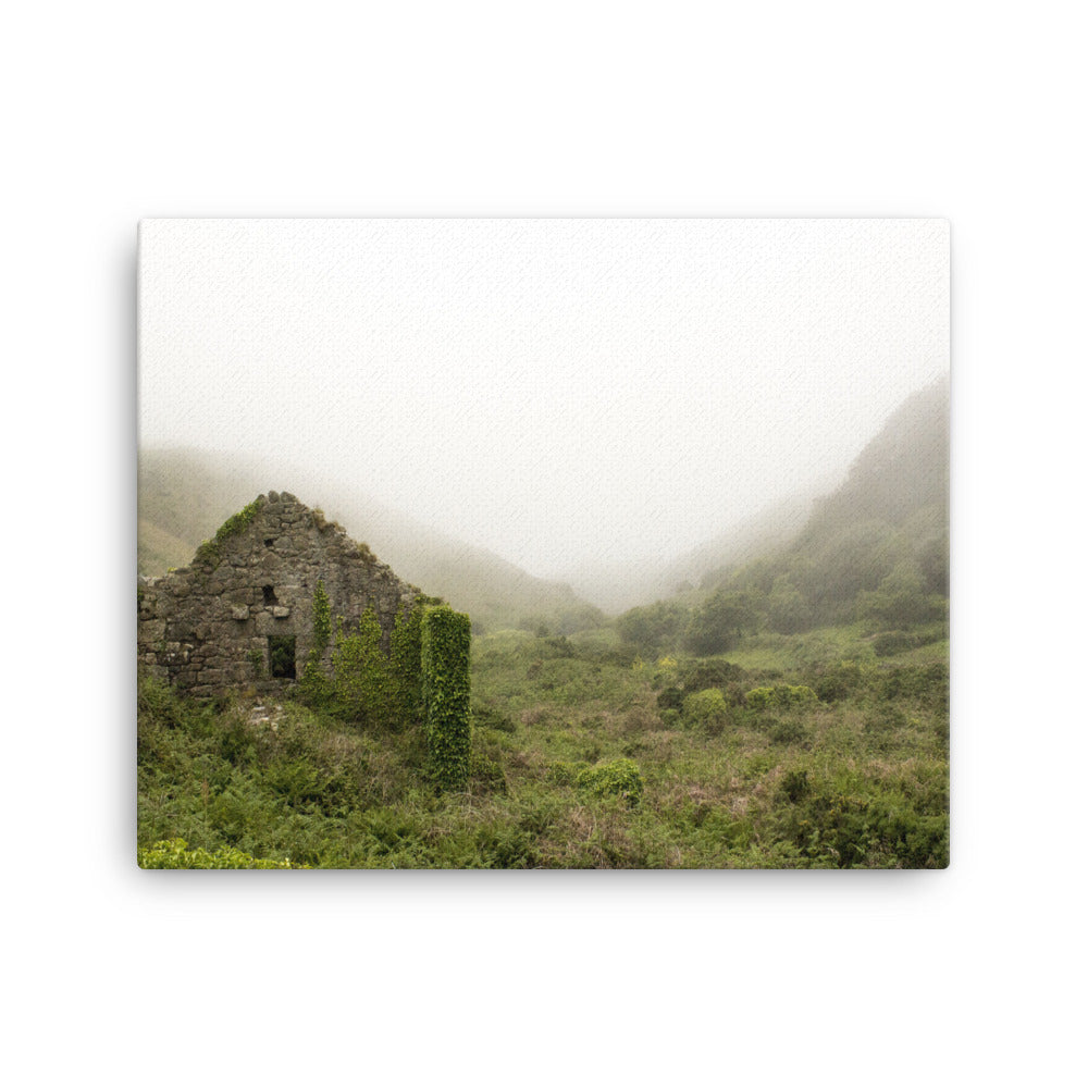 Mist Cabin Canvas Print
