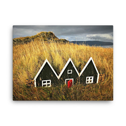 Triangle Savana Canvas Print