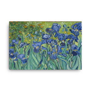 Irises Classic Art Canvas