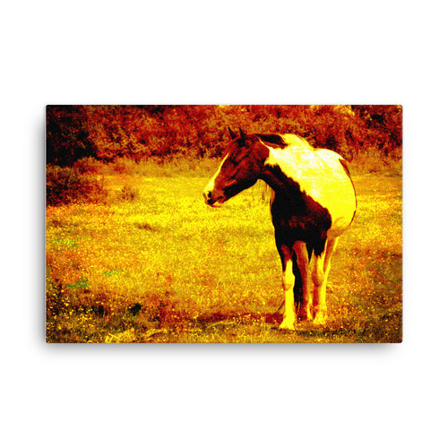 Strongly Pressed Horse Art Canvas