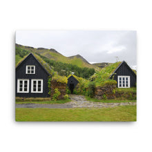 Wide Open Moss Canvas Print