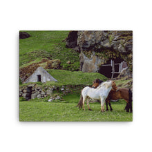Horses in a Fairy Green Canvas Print
