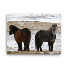 Back to Back Canvas Print