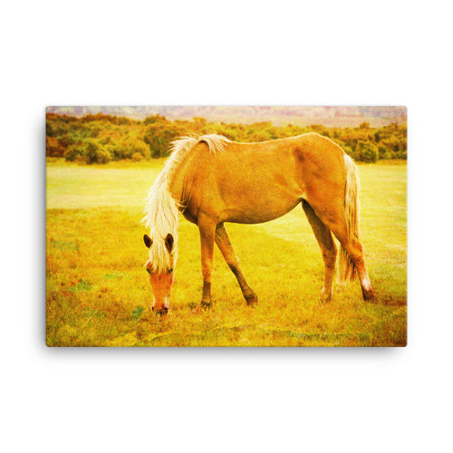 Sound Of Nails Horse Art Canvas