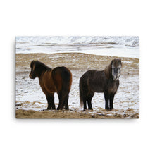 Back to Back Canvas Print