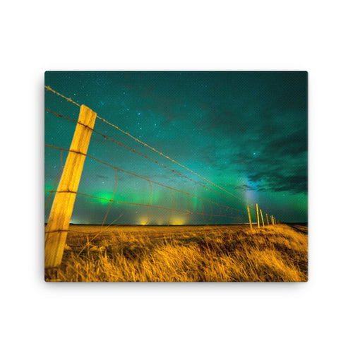 Boreal Yard Canvas Print