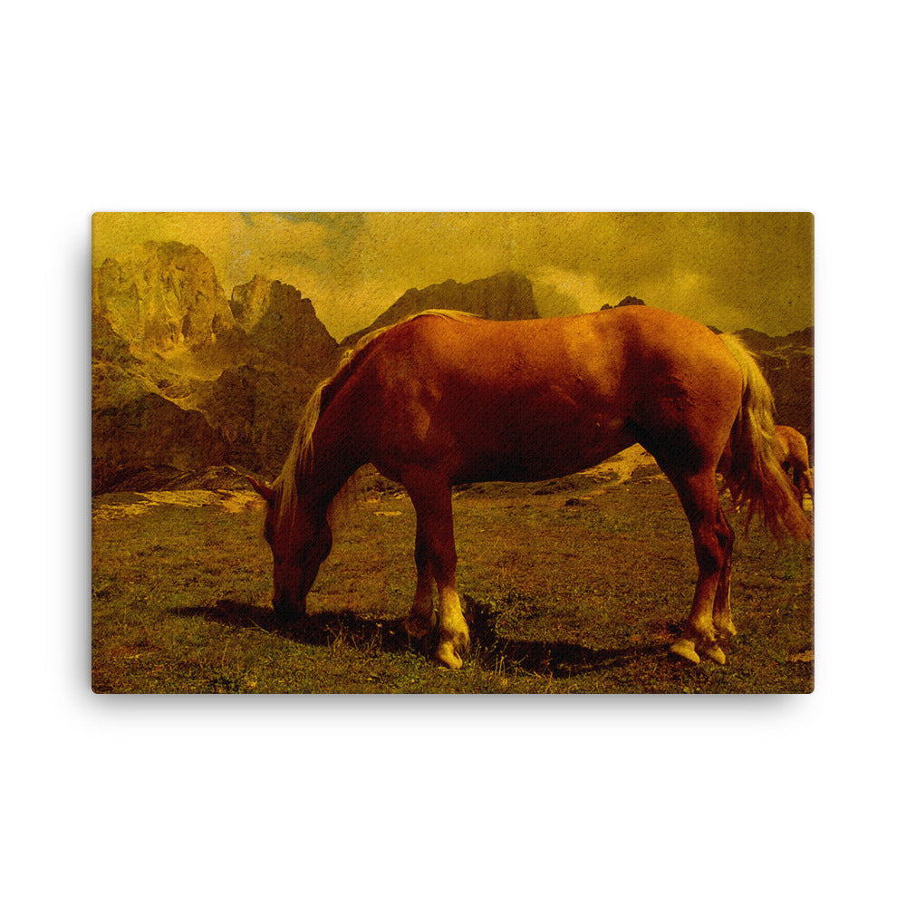 Figured A Few Horse Art Canvas