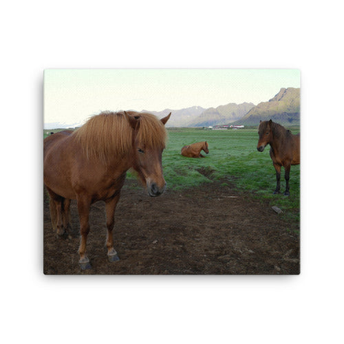 Witness Trilogy Canvas Print