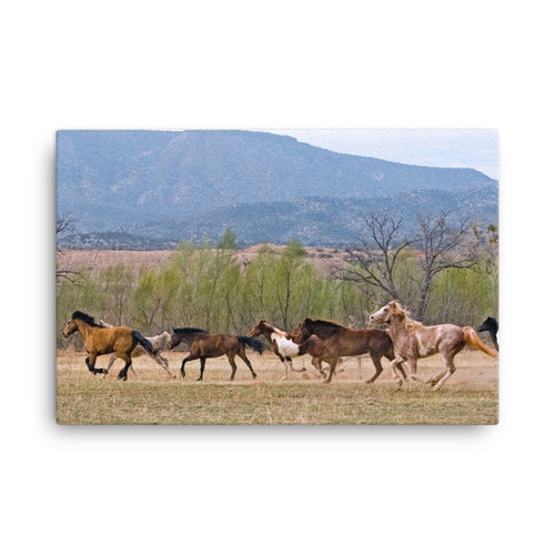 Outside Of Horse Art Canvas