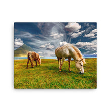 Horse and Solitude Canvas Print