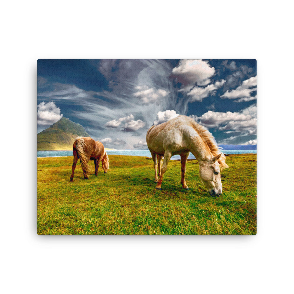 Horse and Solitude Canvas Print