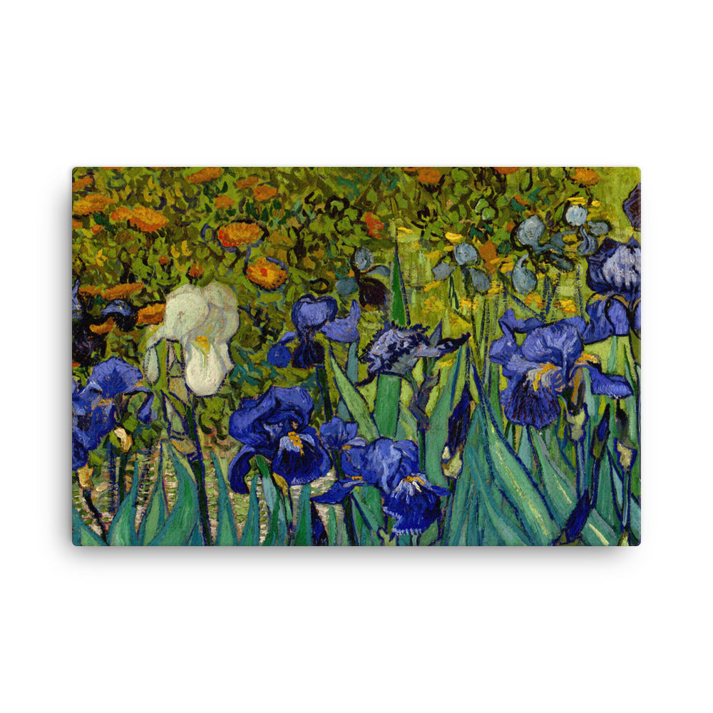 Irises Remastered Art Canvas
