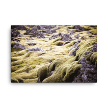 Violet Moss Canvas Print