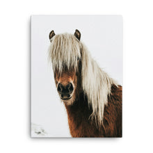 Hippie Hairy Canvas Print