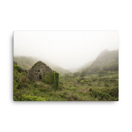 Mist Cabin Canvas Print