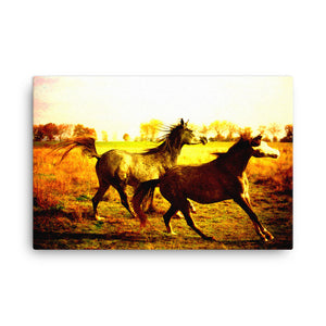 Memorable Occasion Horse Art Canvas