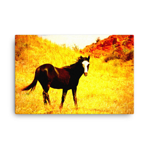 Colored Deep Horse Art Canvas