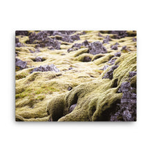 Violet Moss Canvas Print