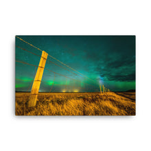 Boreal Yard Canvas Print