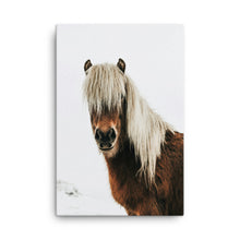 Hippie Hairy Canvas Print