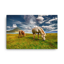 Horse and Solitude Canvas Print